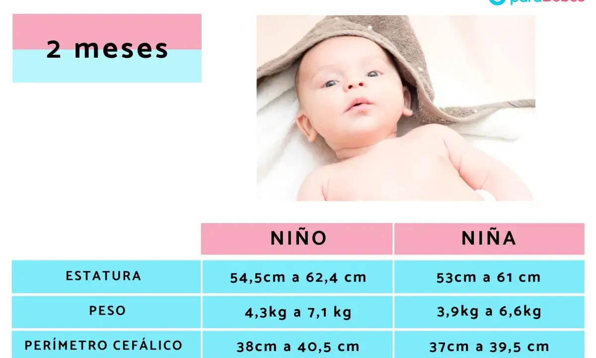 Bebé de 2 meses. Tabla de crecimiento con rangos de estatura, peso y perímetro cefálico para niño y niña. El peso de un bebé de 2 meses varía.