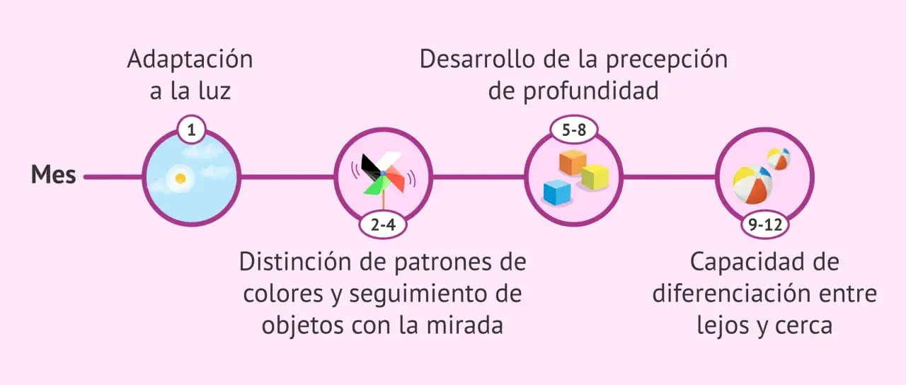 Desarrollo visual del bebé: 1 mes (adaptación a la luz), 2-4 meses (distinción de colores), 5-8 meses (percepción de profundidad), 9-12 meses (diferenciación lejos/cerca).