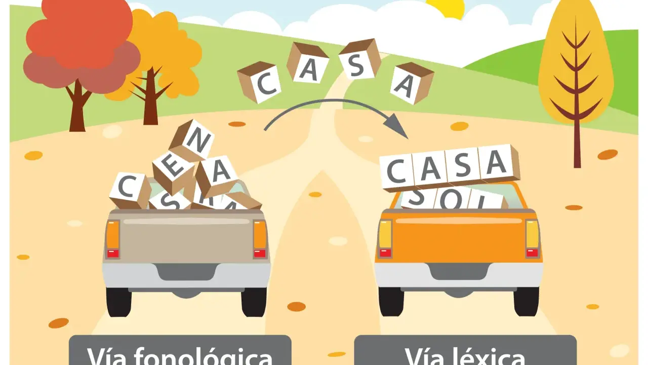 Camiones con fichas de lectoescritura p5 para imprimir: uno con letras sueltas (vía fonológica) y otro con palabras formadas (vía léxica).