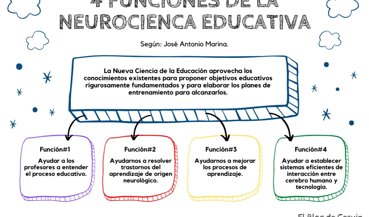 Las 4 funciones de la neurociencia educativa: ayudar a profesores, resolver trastornos, mejorar aprendizaje y conectar cerebro-tecnología.