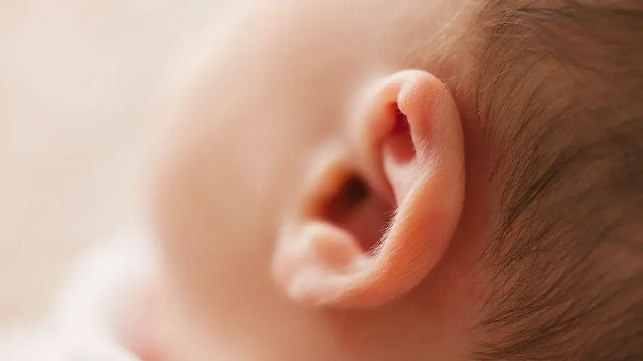 Primer plano de la oreja de un bebé, mostrando la delicada piel y el vello fino. Podría ser el inicio de un eczema oreja bebe.