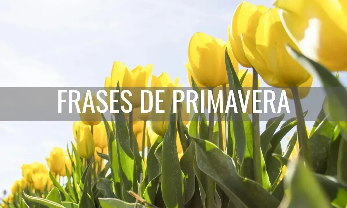 Un campo de tulipanes amarillos bajo un cielo azul, con el texto "Frases de primavera para niños" superpuesto.