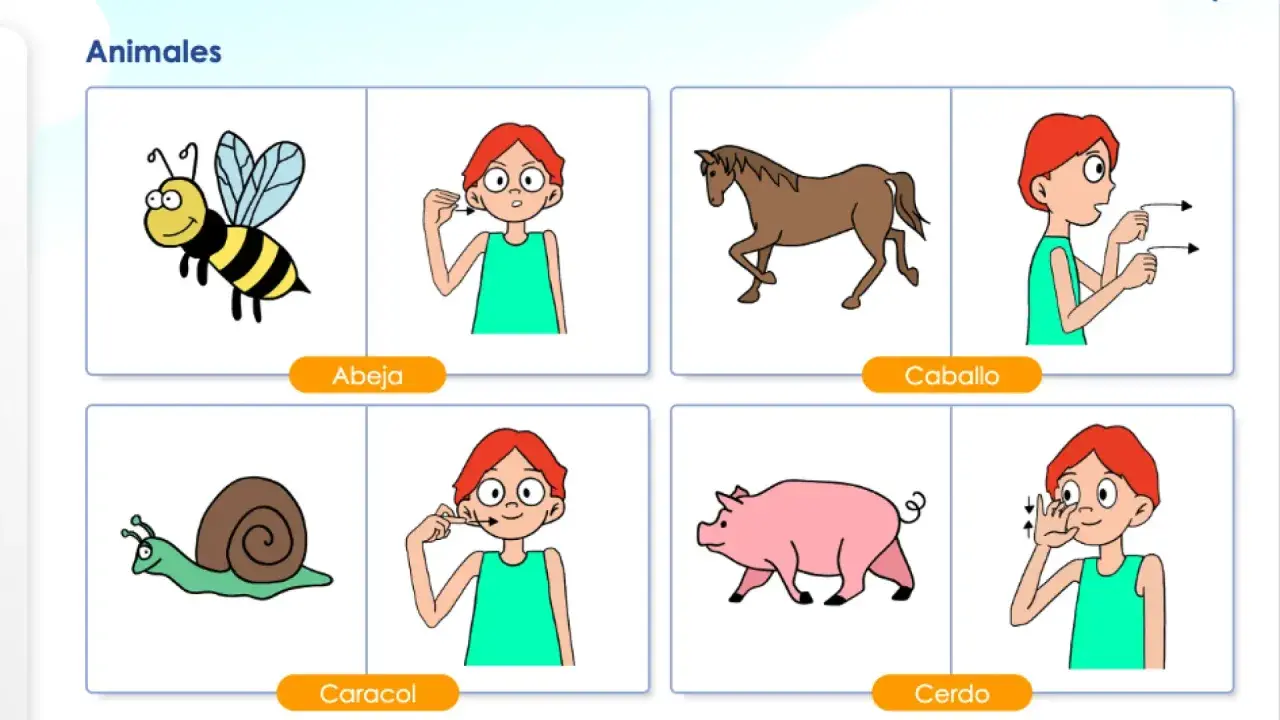 Ilustraciones de animales (abeja, caballo, caracol, cerdo) y personas haciendo gestos de lenguaje bimodal para cada uno.