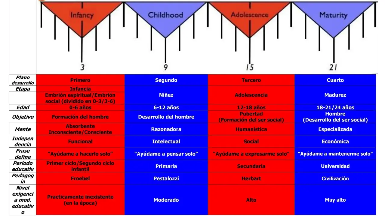 Diagrama de etapas de desarrollo, destacando la infancia como un periodo sensible clave para la formación del hombre.