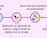 Desarrollo visual del bebé: 1 mes (adaptación a la luz), 2-4 meses (distinción de colores), 5-8 meses (percepción de profundidad), 9-12 meses (diferenciación lejos/cerca).