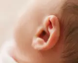 Primer plano de la oreja de un bebé, mostrando la delicada piel y el vello fino. Podría ser el inicio de un eczema oreja bebe.