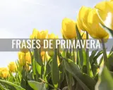 Un campo de tulipanes amarillos bajo un cielo azul, con el texto "Frases de primavera para niños" superpuesto.