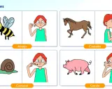 Ilustraciones de animales (abeja, caballo, caracol, cerdo) y personas haciendo gestos de lenguaje bimodal para cada uno.