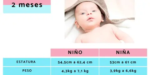 Bebé de 2 meses. Tabla de crecimiento con rangos de estatura, peso y perímetro cefálico para niño y niña. El peso de un bebé de 2 meses varía.