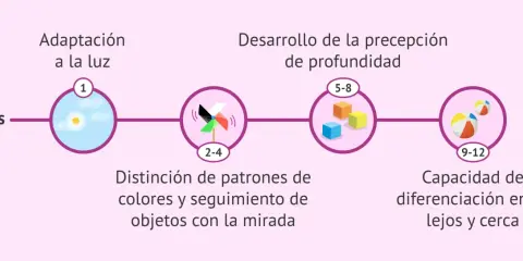 Desarrollo visual del bebé: 1 mes (adaptación a la luz), 2-4 meses (distinción de colores), 5-8 meses (percepción de profundidad), 9-12 meses (diferenciación lejos/cerca).