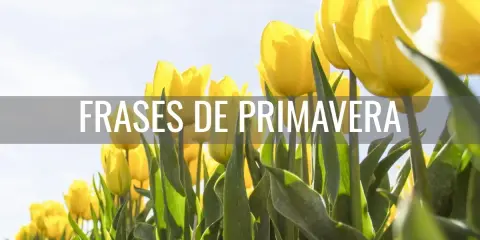 Un campo de tulipanes amarillos bajo un cielo azul, con el texto "Frases de primavera para niños" superpuesto.