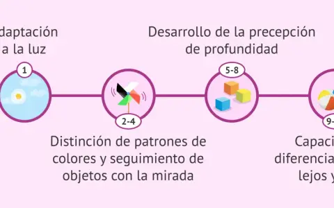 Desarrollo visual del bebé: 1 mes (adaptación a la luz), 2-4 meses (distinción de colores), 5-8 meses (percepción de profundidad), 9-12 meses (diferenciación lejos/cerca).
