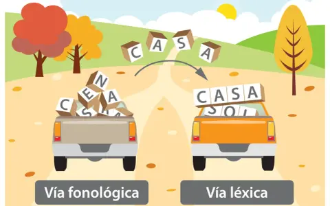 Camiones con fichas de lectoescritura p5 para imprimir: uno con letras sueltas (vía fonológica) y otro con palabras formadas (vía léxica).