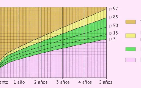 Gráfica de peso por edad. El percentil 80 se ubica en la zona de riesgo de sobrepeso para niños de 3 años.