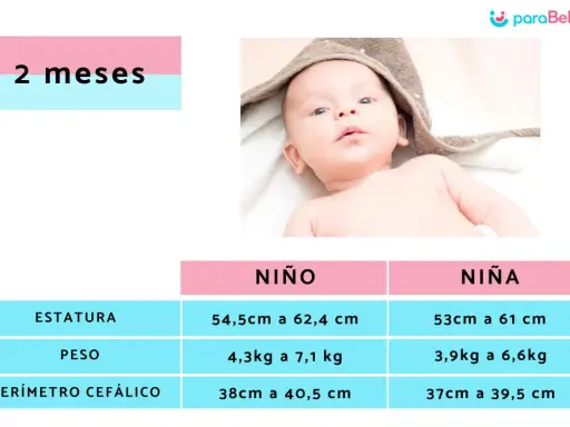 Bebé de 2 meses. Tabla de crecimiento con rangos de estatura, peso y perímetro cefálico para niño y niña. El peso de un bebé de 2 meses varía.