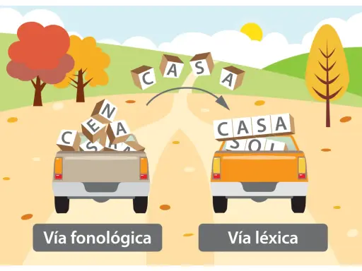 Camiones con fichas de lectoescritura p5 para imprimir: uno con letras sueltas (vía fonológica) y otro con palabras formadas (vía léxica).