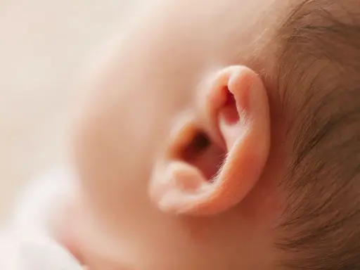 Primer plano de la oreja de un bebé, mostrando la delicada piel y el vello fino. Podría ser el inicio de un eczema oreja bebe.