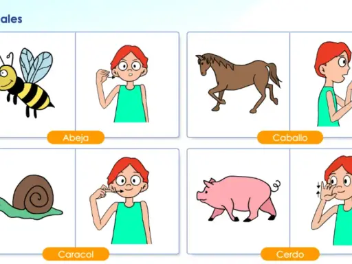 Ilustraciones de animales (abeja, caballo, caracol, cerdo) y personas haciendo gestos de lenguaje bimodal para cada uno.