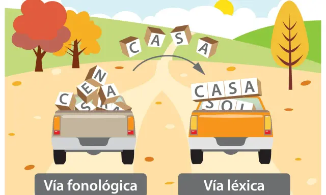 Camiones con fichas de lectoescritura p5 para imprimir: uno con letras sueltas (vía fonológica) y otro con palabras formadas (vía léxica).