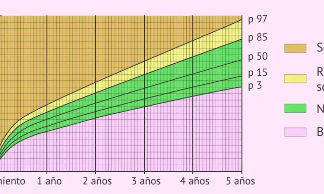Gráfica de peso por edad. El percentil 80 se ubica en la zona de riesgo de sobrepeso para niños de 3 años.