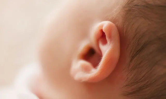 Primer plano de la oreja de un bebé, mostrando la delicada piel y el vello fino. Podría ser el inicio de un eczema oreja bebe.
