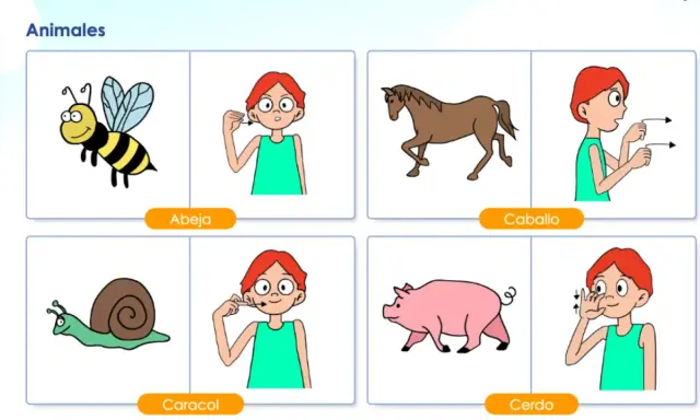 Ilustraciones de animales (abeja, caballo, caracol, cerdo) y personas haciendo gestos de lenguaje bimodal para cada uno.