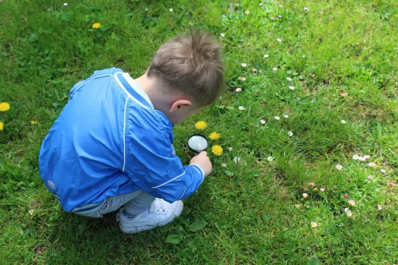 Ni&ntilde;o con lupa explorando flores amarillas y margaritas en el c&eacute;sped. Inspiraci&oacute;n para frases de primavera para ni&ntilde;os.