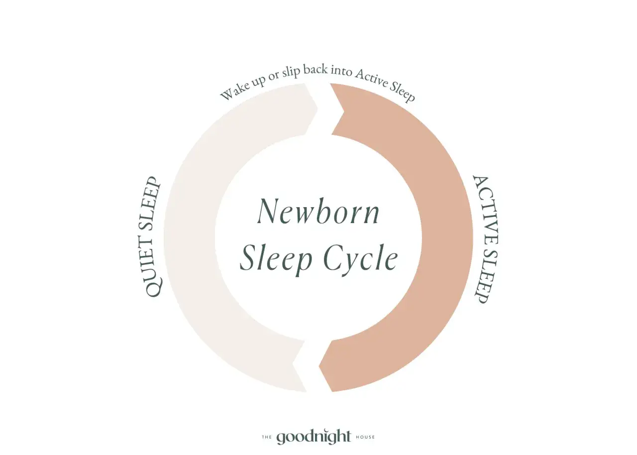 Diagrama del ciclo sue&ntilde;o beb&eacute;: sue&ntilde;o activo y sue&ntilde;o tranquilo. El beb&eacute; puede despertarse o volver al sue&ntilde;o activo.