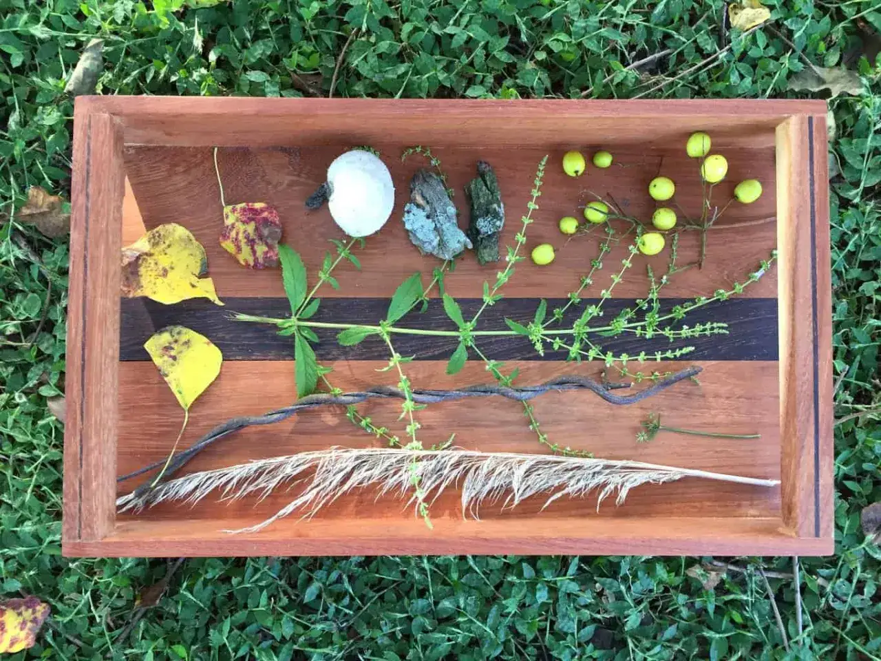 Bandeja de madera con hojas, ramas, piedras y bayas, ideal para montessori actividades sensoriales para ni&ntilde;os.