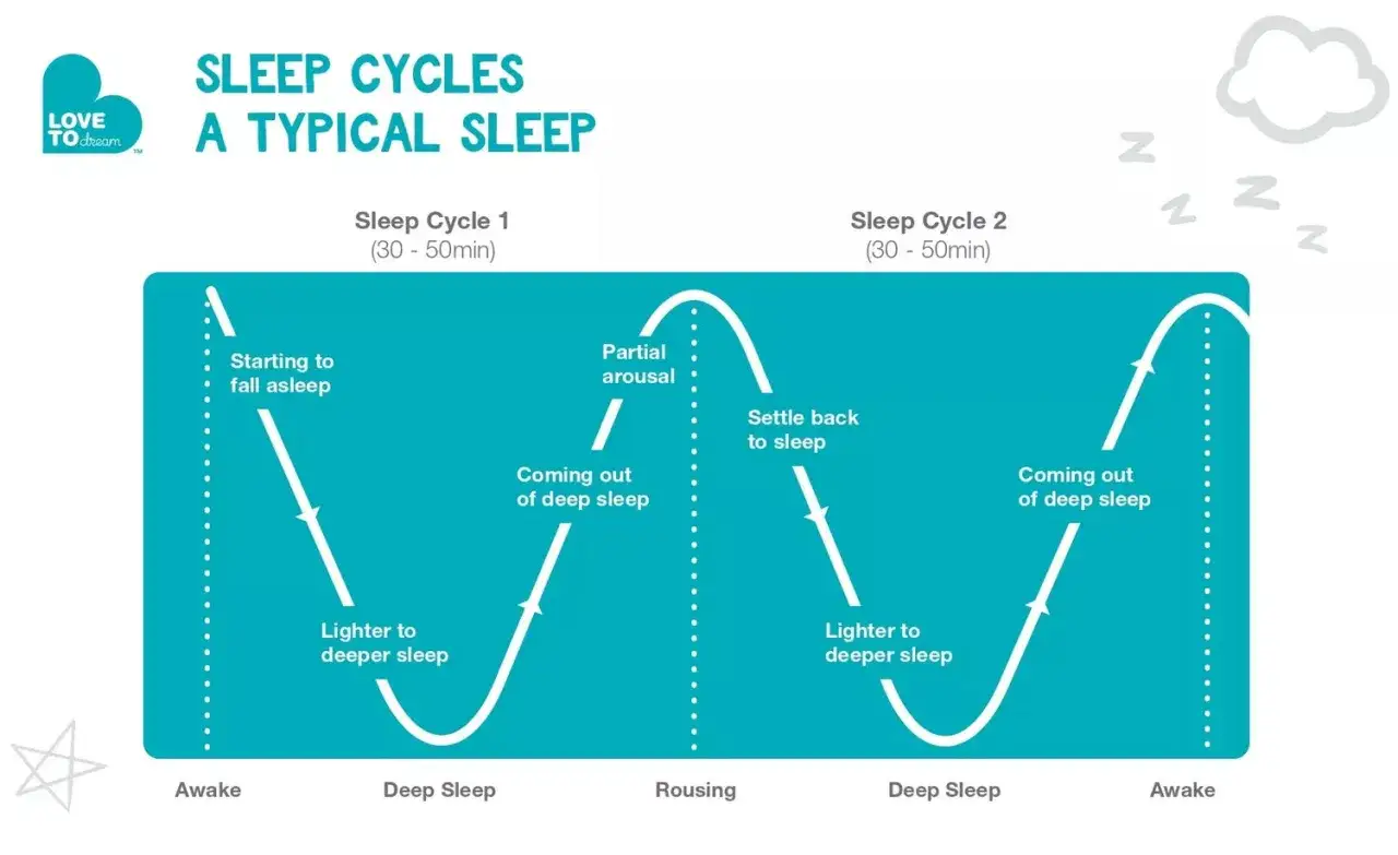 Gr&aacute;fico ilustra el ciclo sue&ntilde;o beb&eacute;, mostrando las fases de sue&ntilde;o ligero, profundo y despertar.