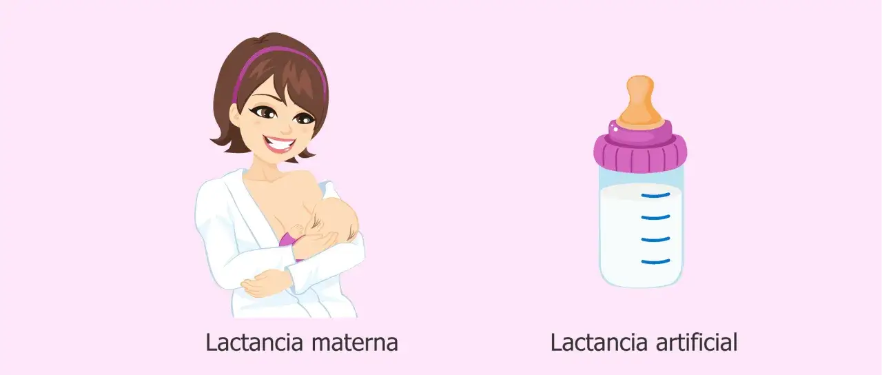 Madre amamantando a su beb&eacute; de 1 mes. A la derecha, un biber&oacute;n con leche.