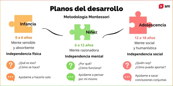 La educación Montessori en qué consiste: planos del desarrollo por etapas (infancia, niñez, adolescencia) con sus características y enfoques.